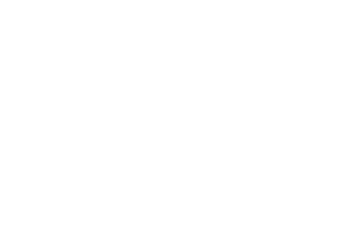 Online Career Summit logo