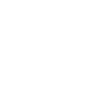 Sisecam