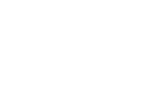 Yıldız Holding